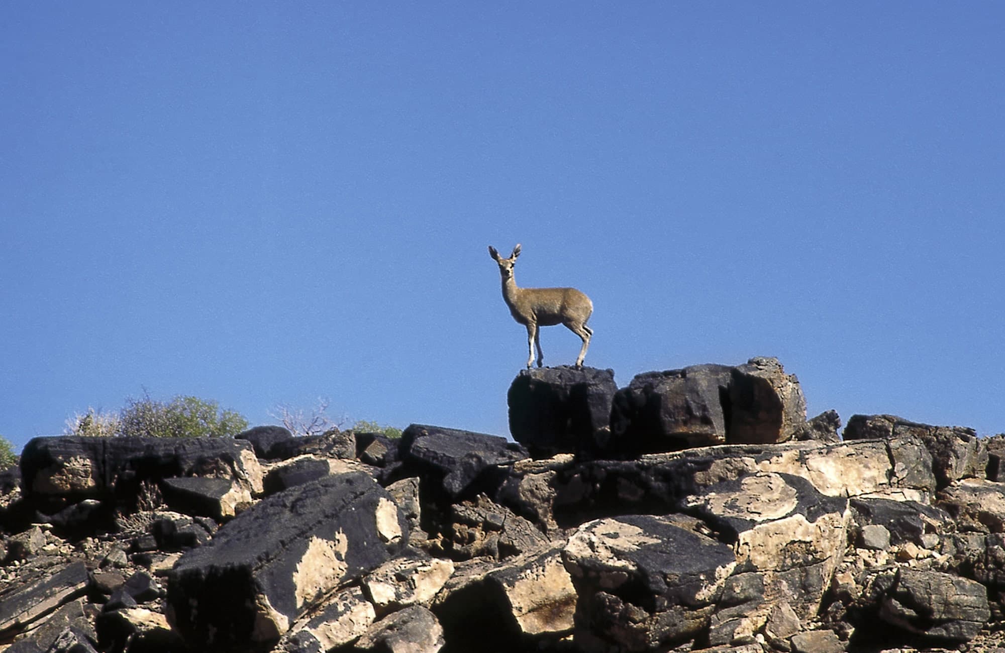 Fish River Canyon Experience (6)